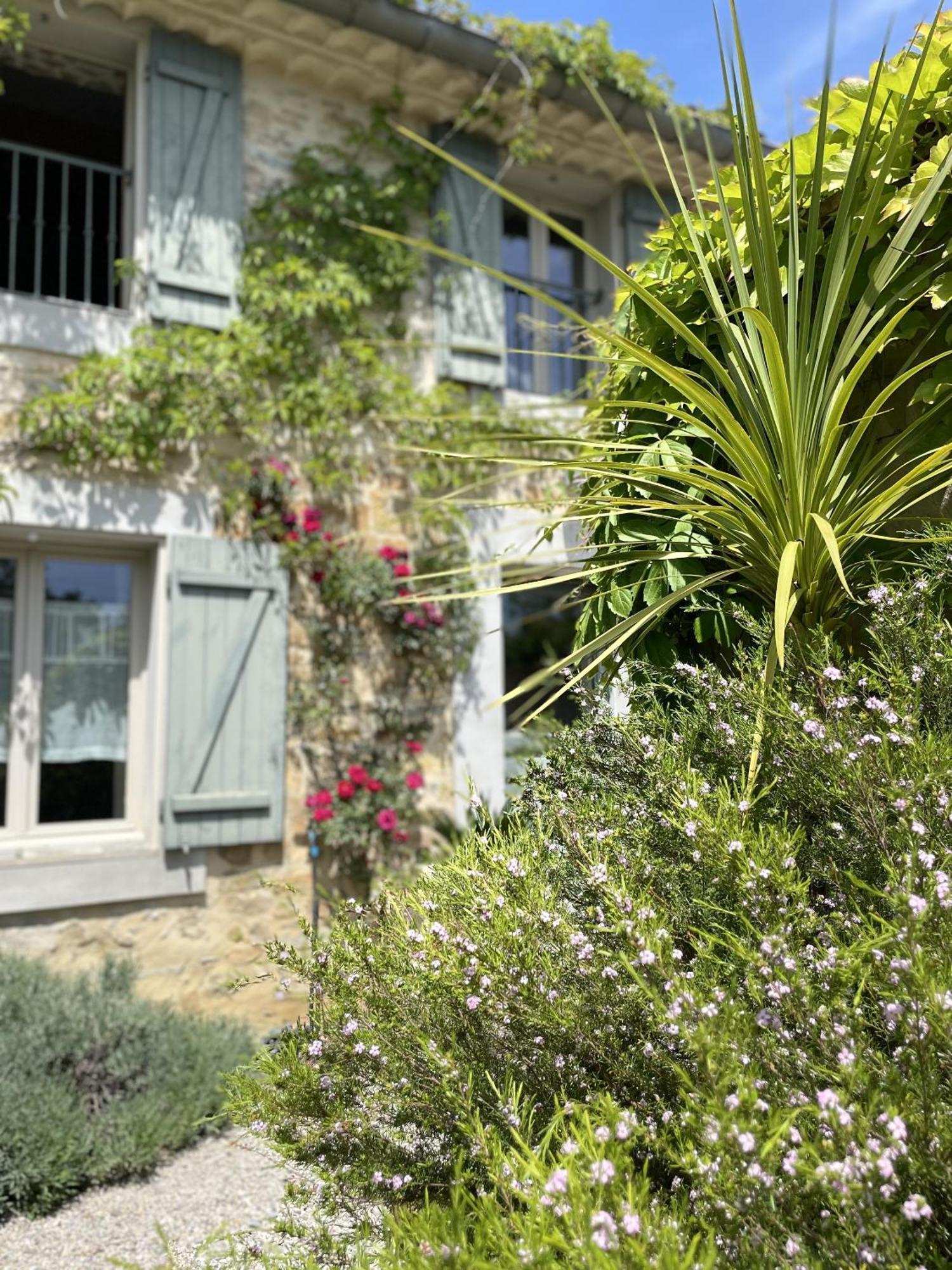 Le Domaine De La Tuilerie - Gite De Charme En Bord De Riviere Avec Piscine Servies-en-Val Exterior photo